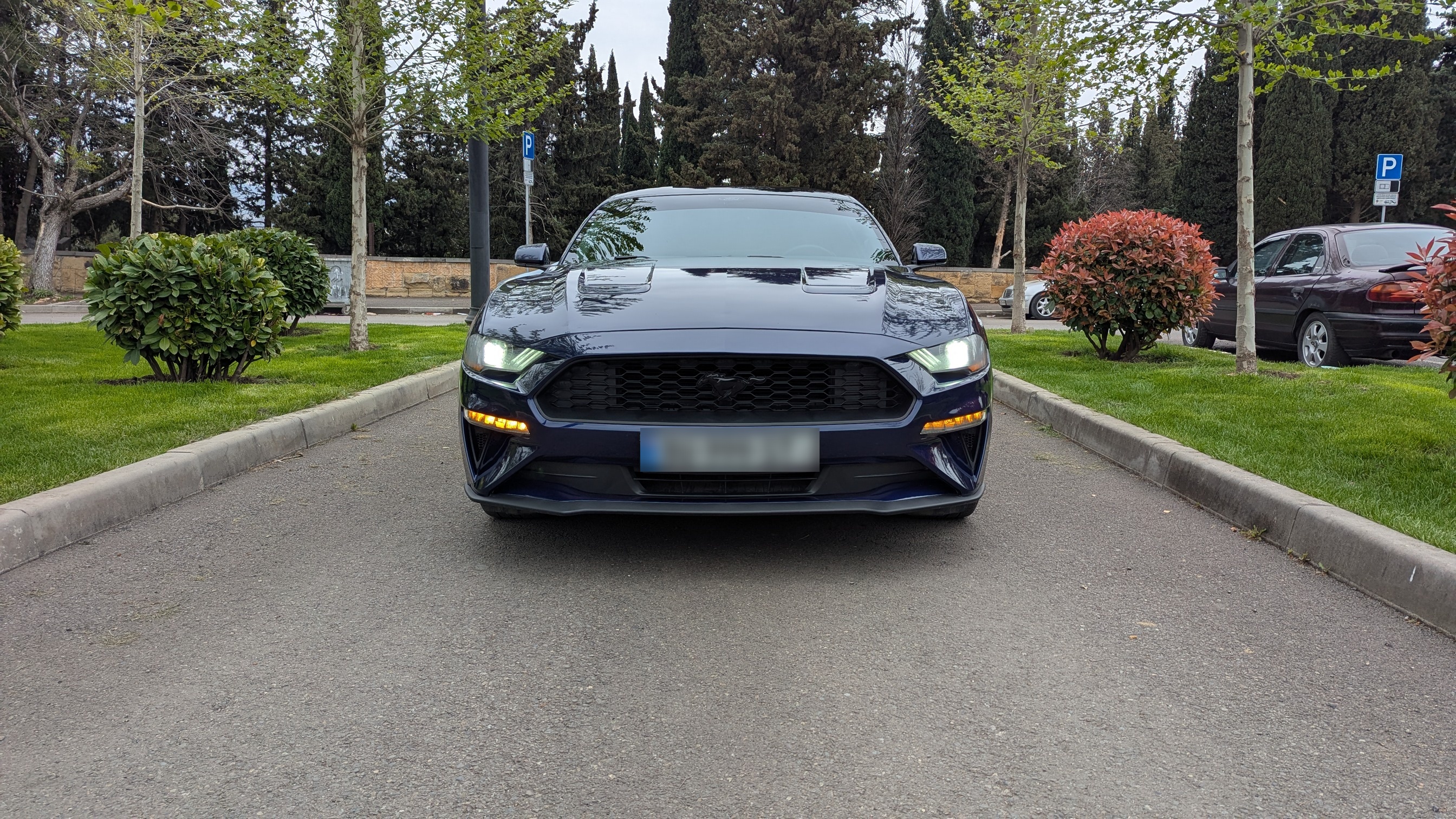 Ford Mustang - фото 1