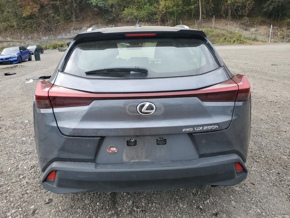 Lexus UX 250 h - фото 6