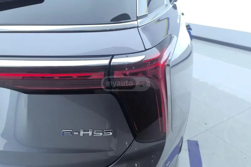 Hongqi E-HS9 - фото 5