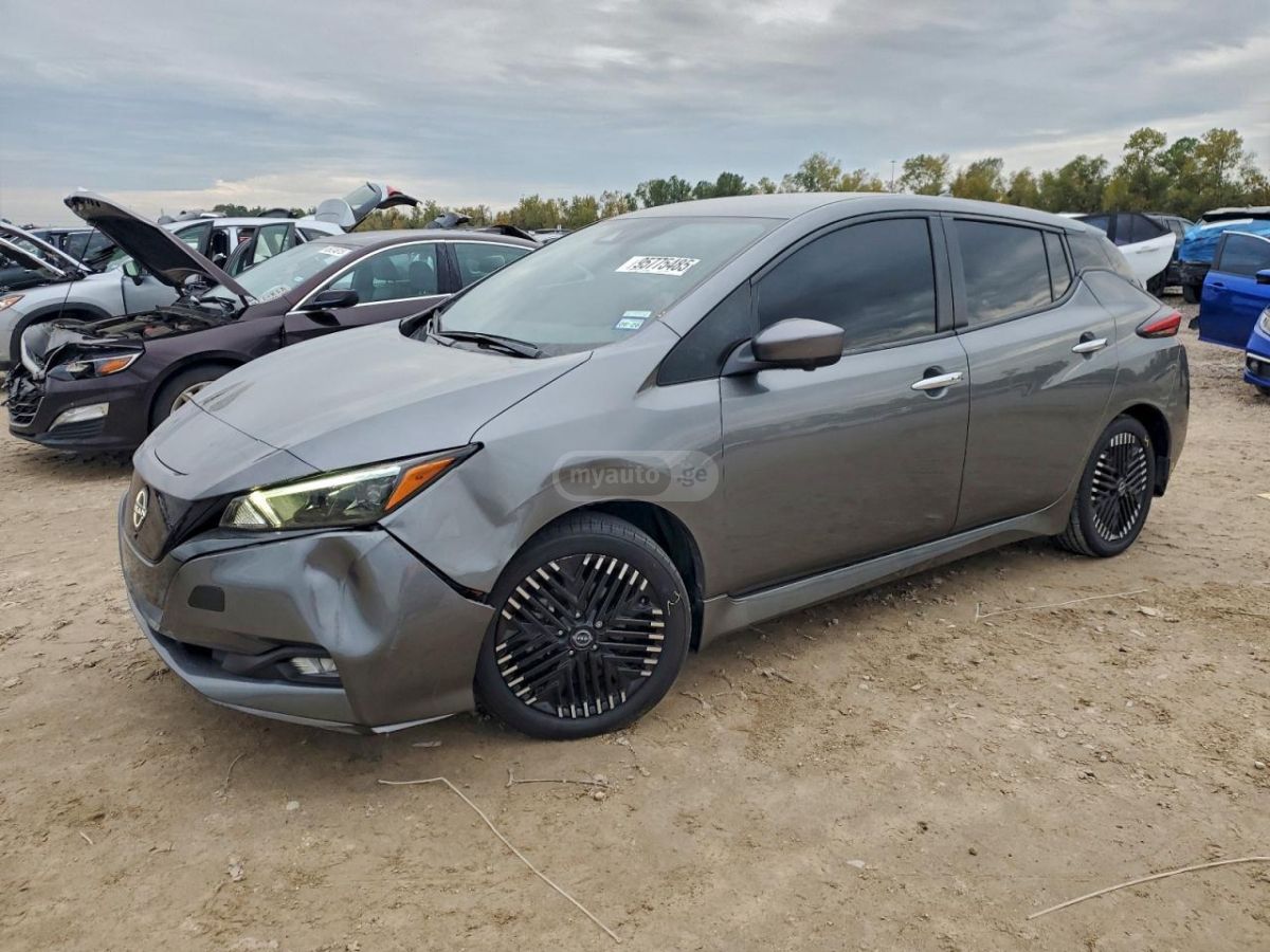 Nissan Leaf 2024 — миниатюра 1