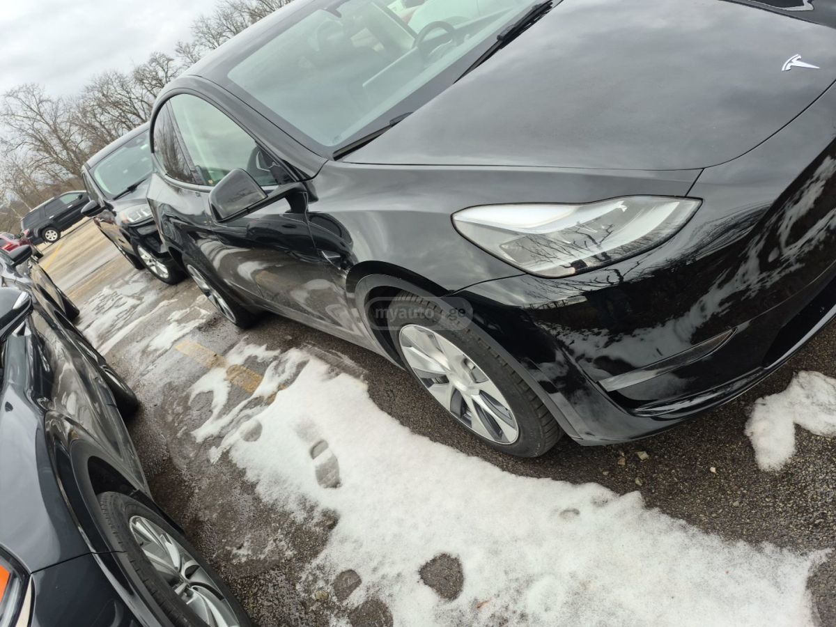 Tesla Model Y - фото 1
