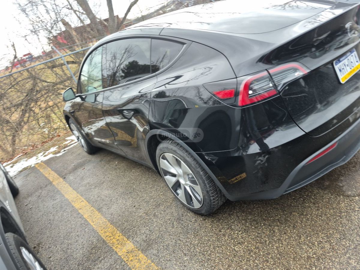 Tesla Model Y - фото 3