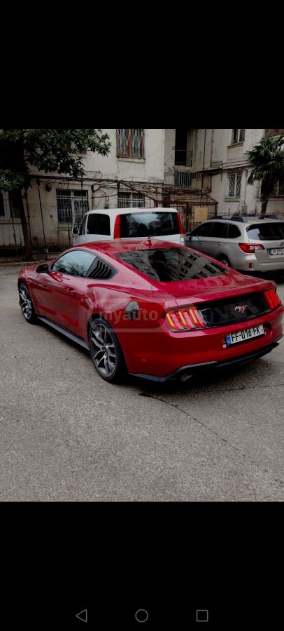 Ford Mustang - фото 3