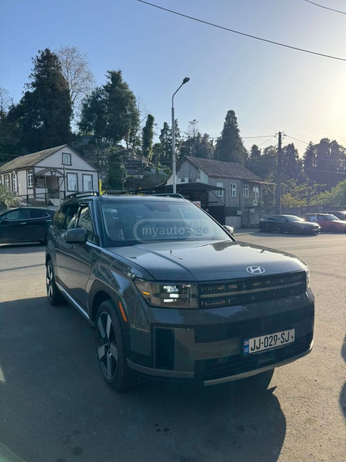 Hyundai Santa FE - фото 6