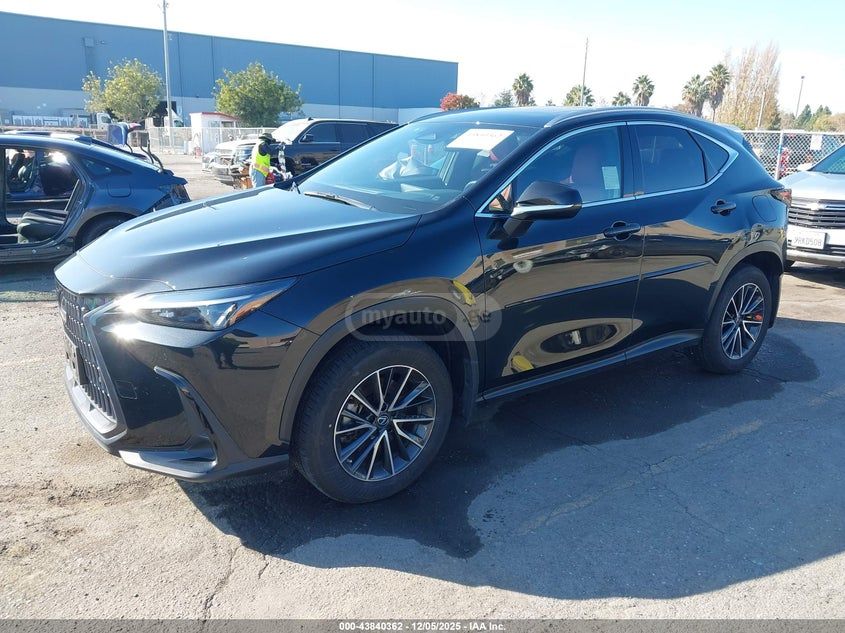 Lexus NX 350 - фото 1