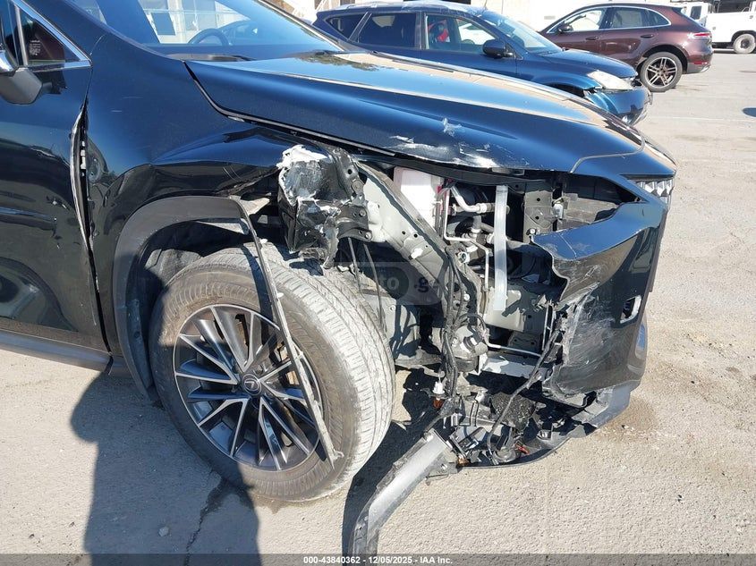 Lexus NX 350 - фото 6