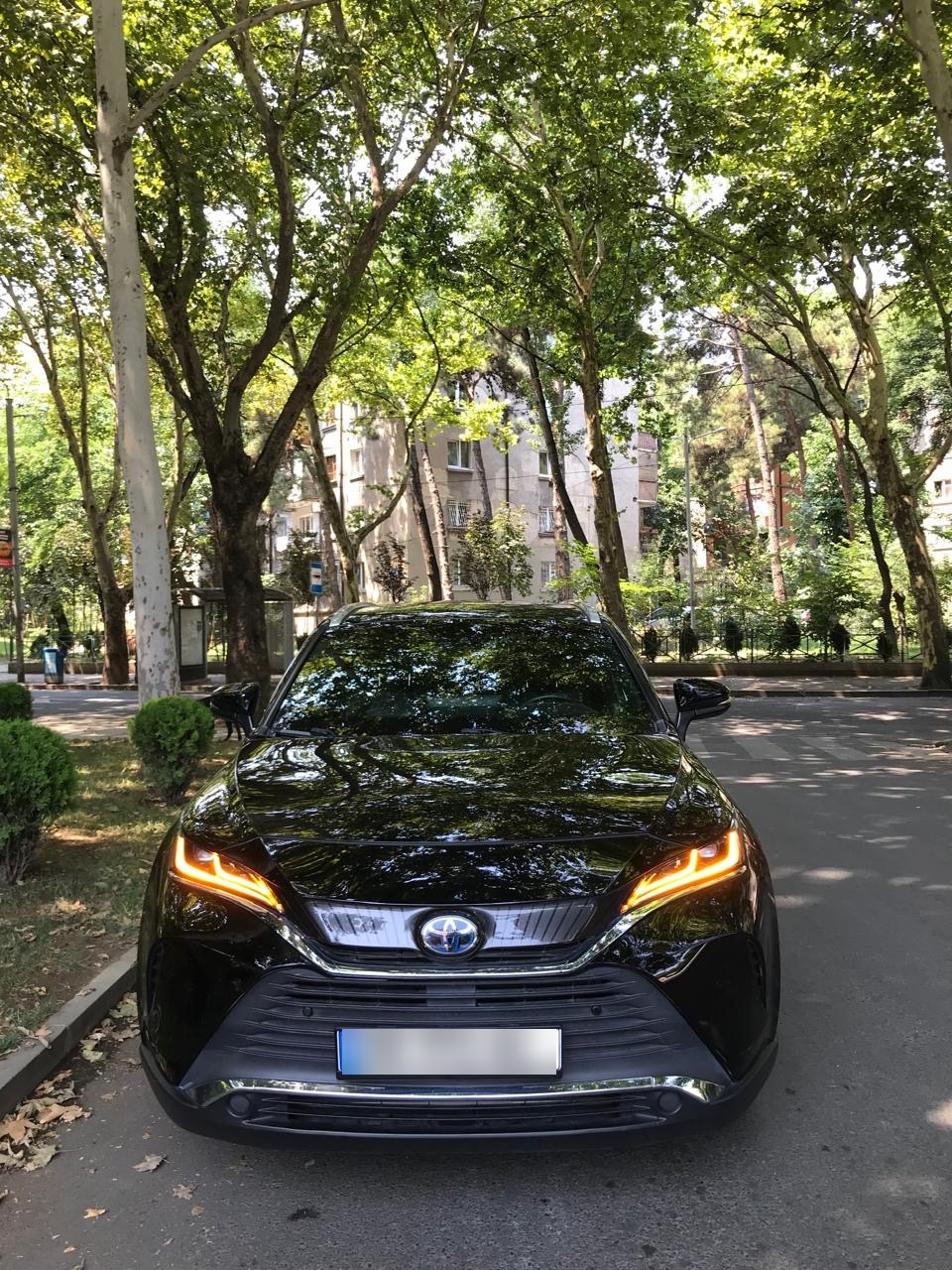 Toyota Venza - фото 14