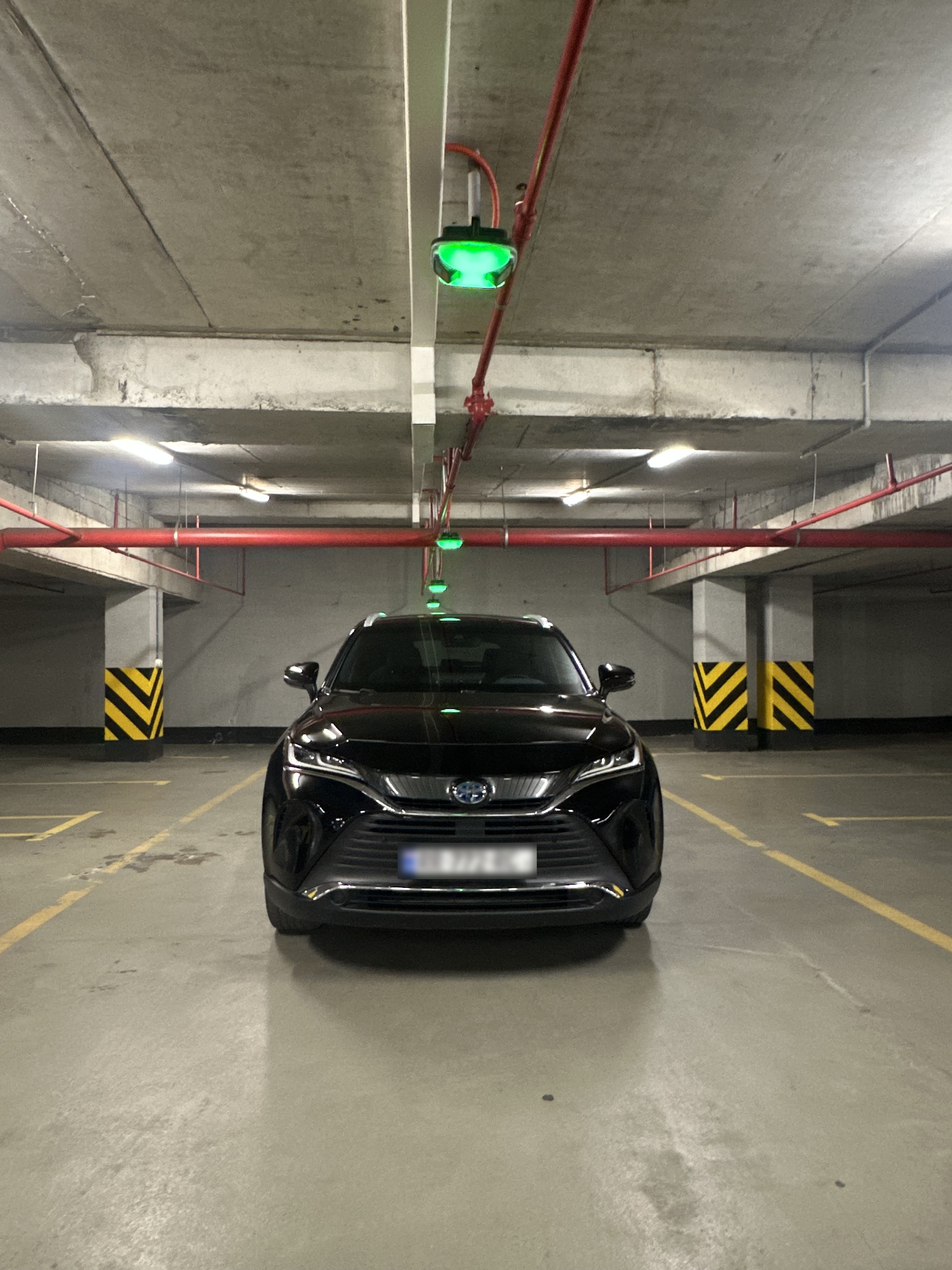 Toyota Venza - фото 6