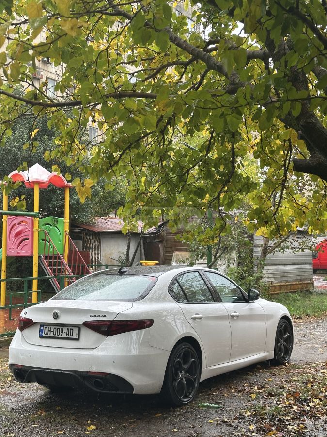 Alfa Romeo Giulia - фото 6