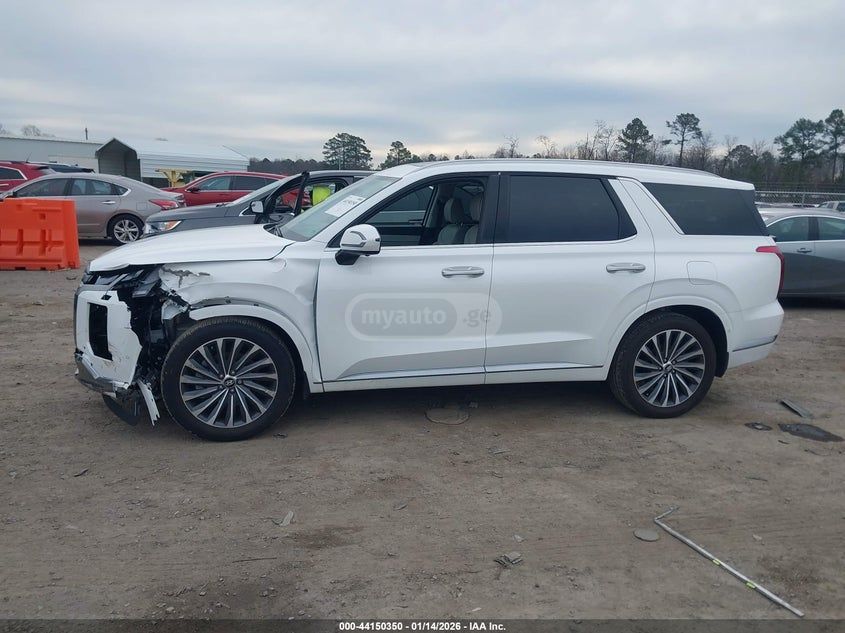 Hyundai Palisade 2025 — миниатюра 13