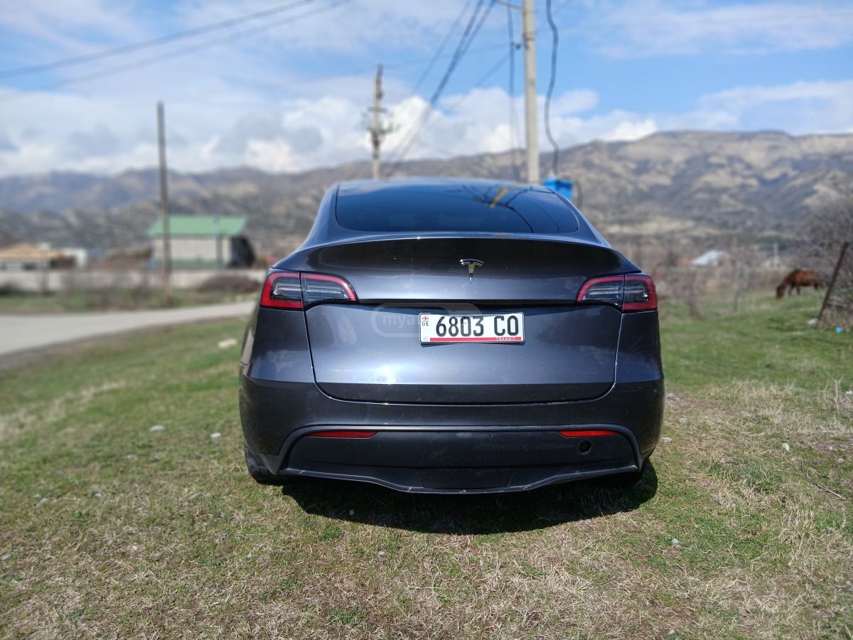 Tesla Long range dual motor — миниатюра 2