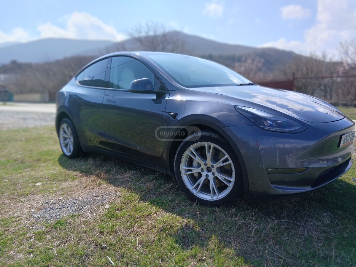 Tesla Long range dual motor — миниатюра 3