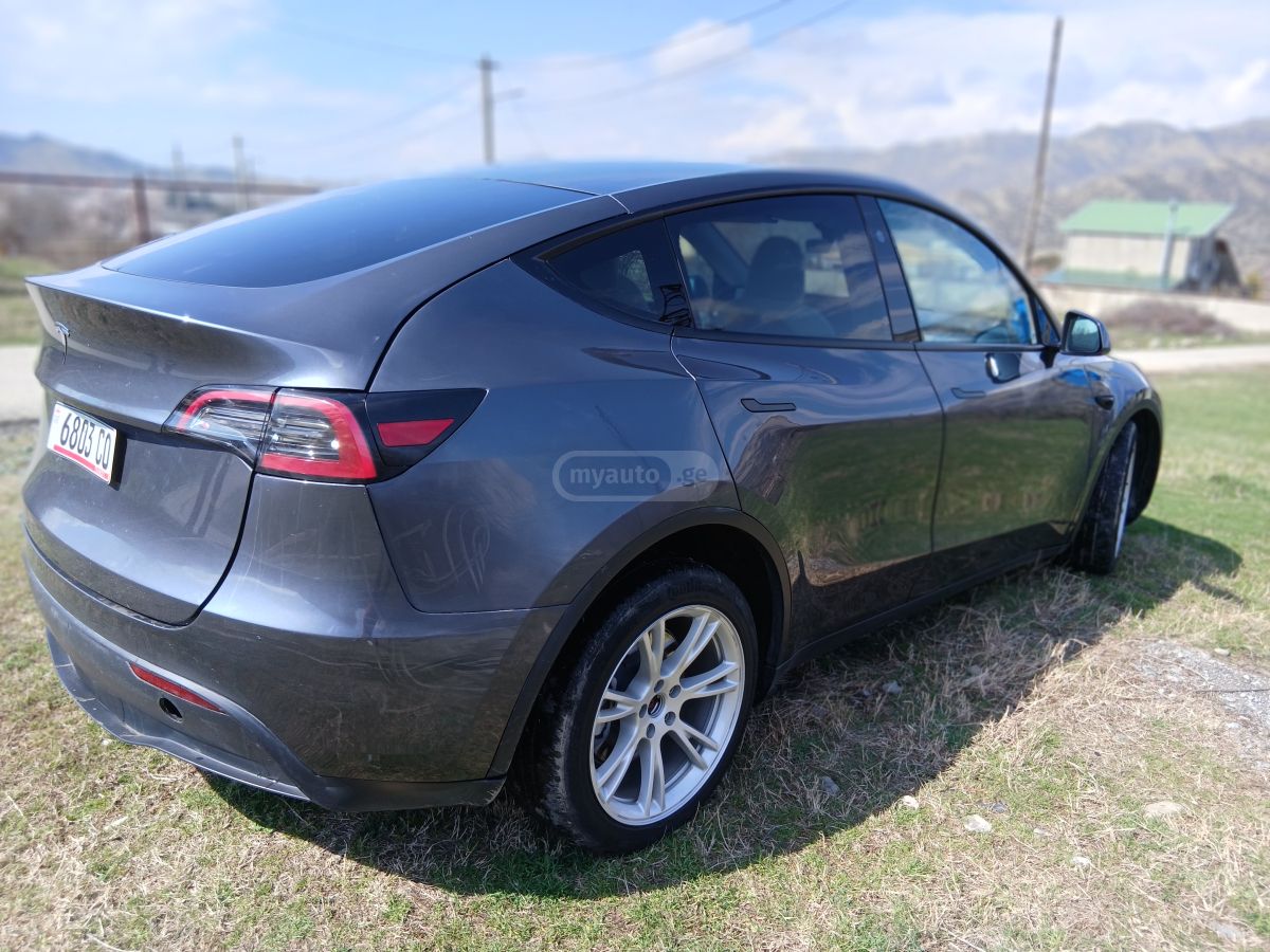 Tesla Long range dual motor — миниатюра 4