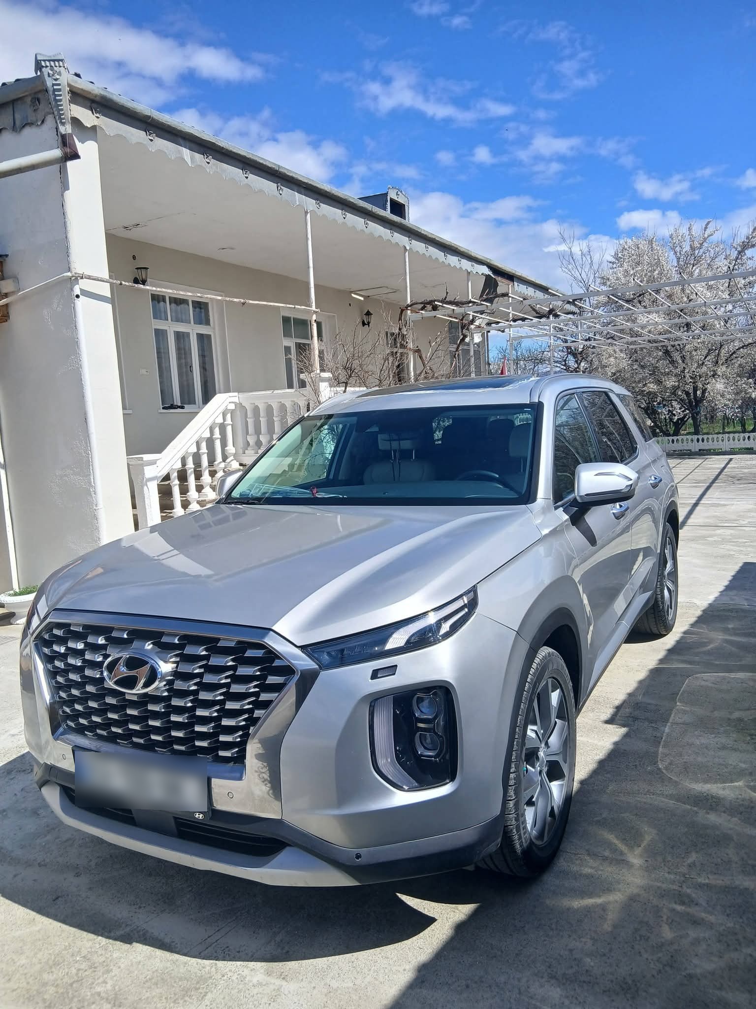 Hyundai Palisade - фото 2
