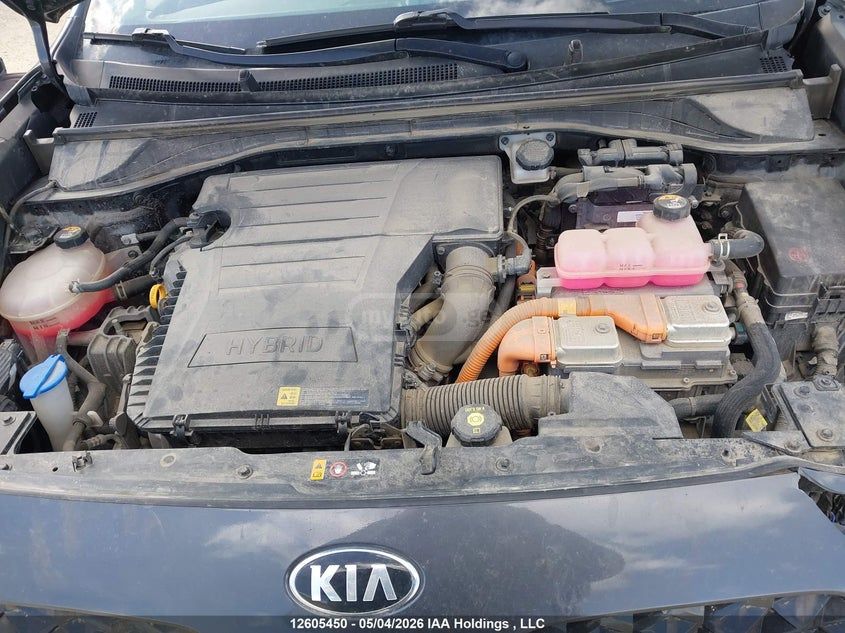 Kia Niro - фото 6