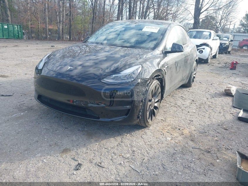 Tesla Model Y - фото 1