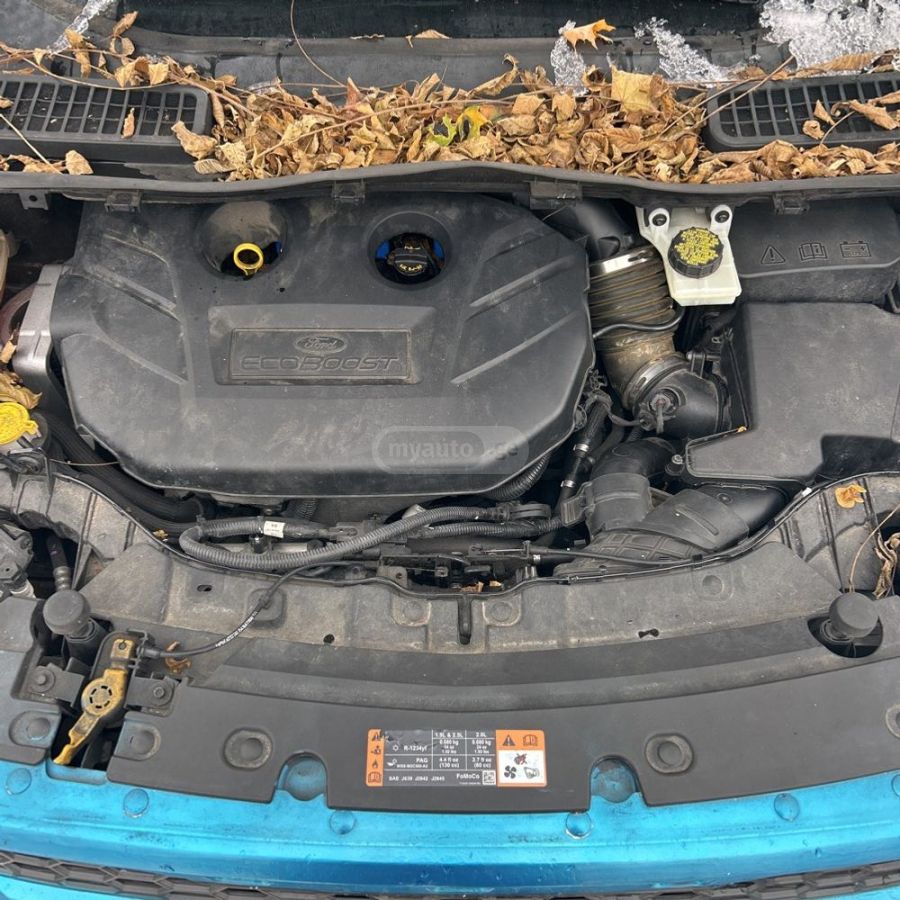 Ford Escape - фото 10