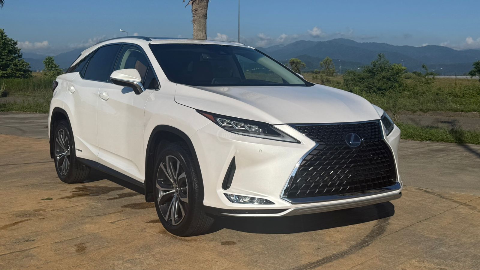 Lexus RX 450 2022 — миниатюра 8