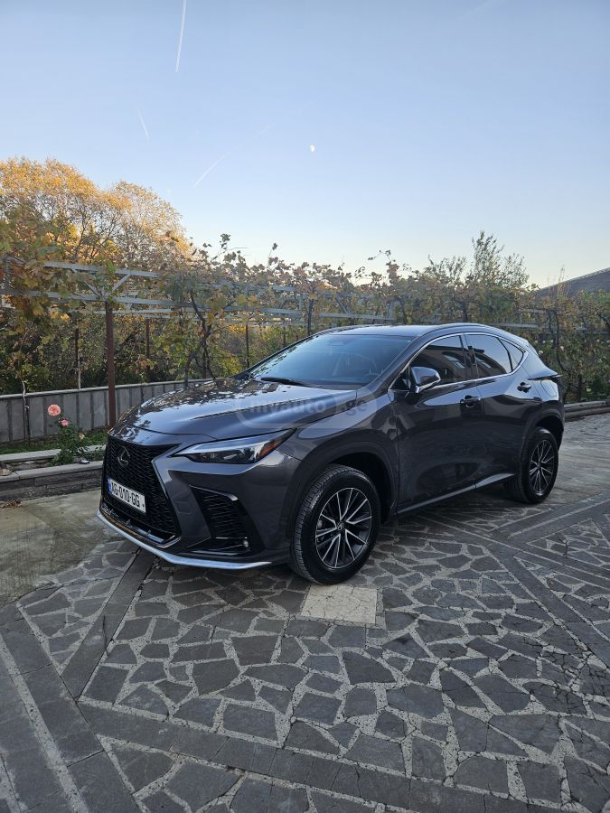 Lexus NX 250 - фото 1