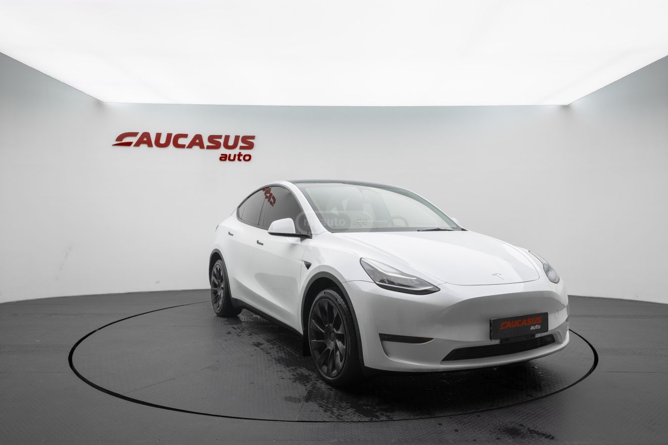 Tesla Tesla Model Y — миниатюра 3