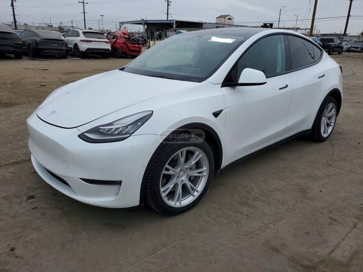 Tesla Model Y - фото 1