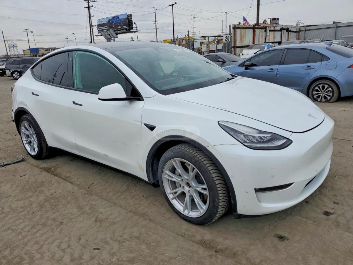 Tesla Model Y - фото 2