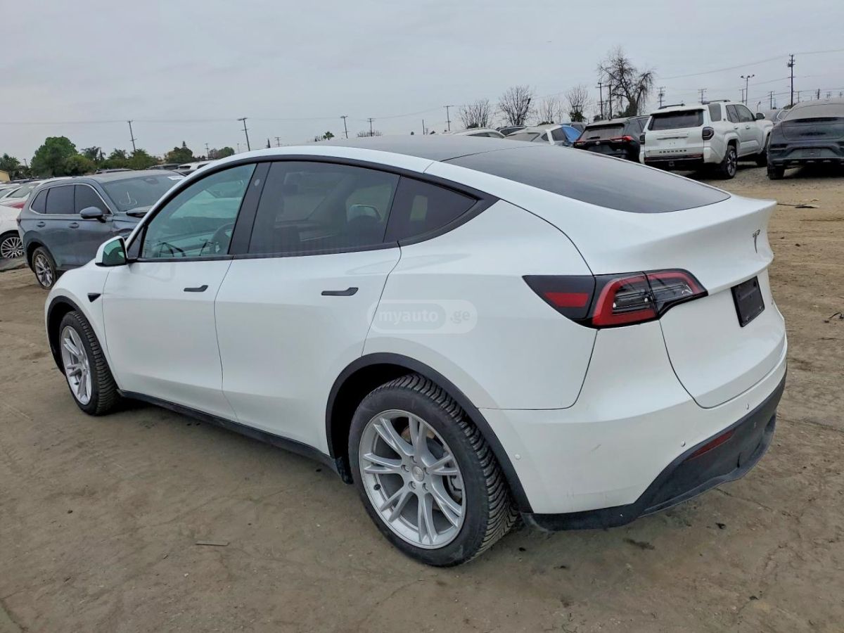 Tesla Model Y - фото 3