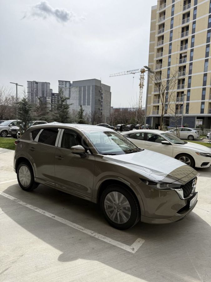 Mazda ПРОХОДНАЯ — миниатюра 3