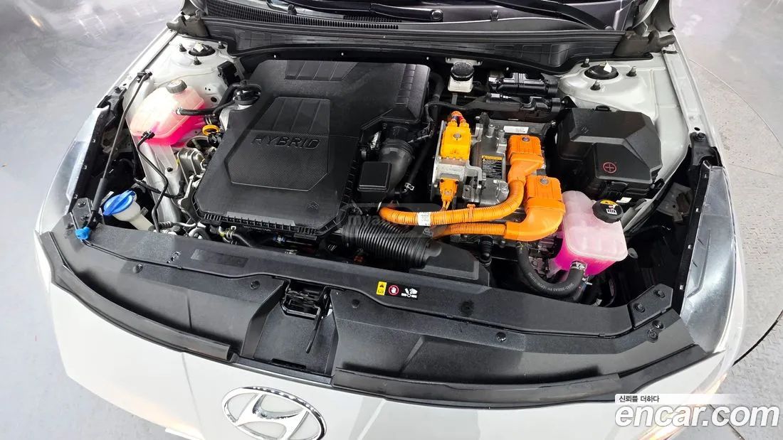 Hyundai Elantra - фото 6