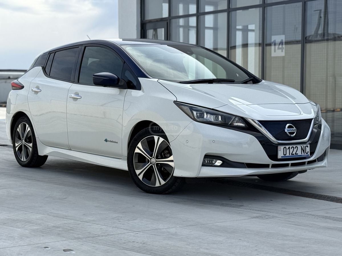 Nissan Leaf - фото 1