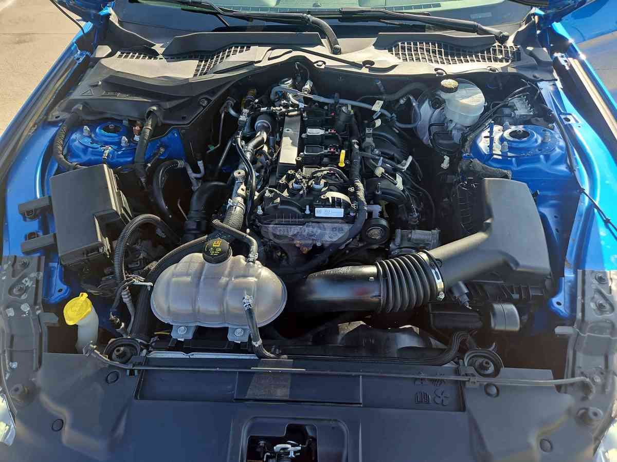 Ford Mustang - фото 11