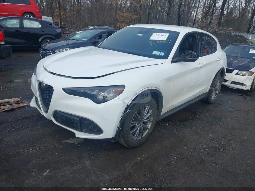 Alfa Romeo Stelvio 2024 — миниатюра 2