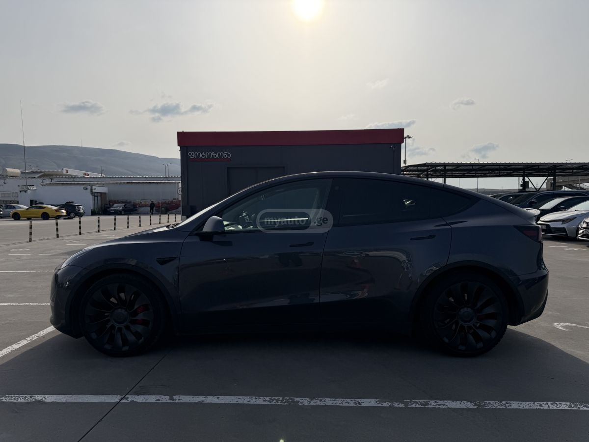 Tesla PERFORMANCE — миниатюра 10