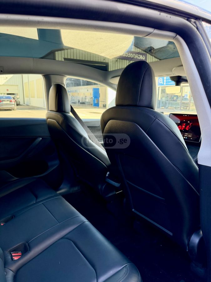 Tesla PERFORMANCE — миниатюра 13