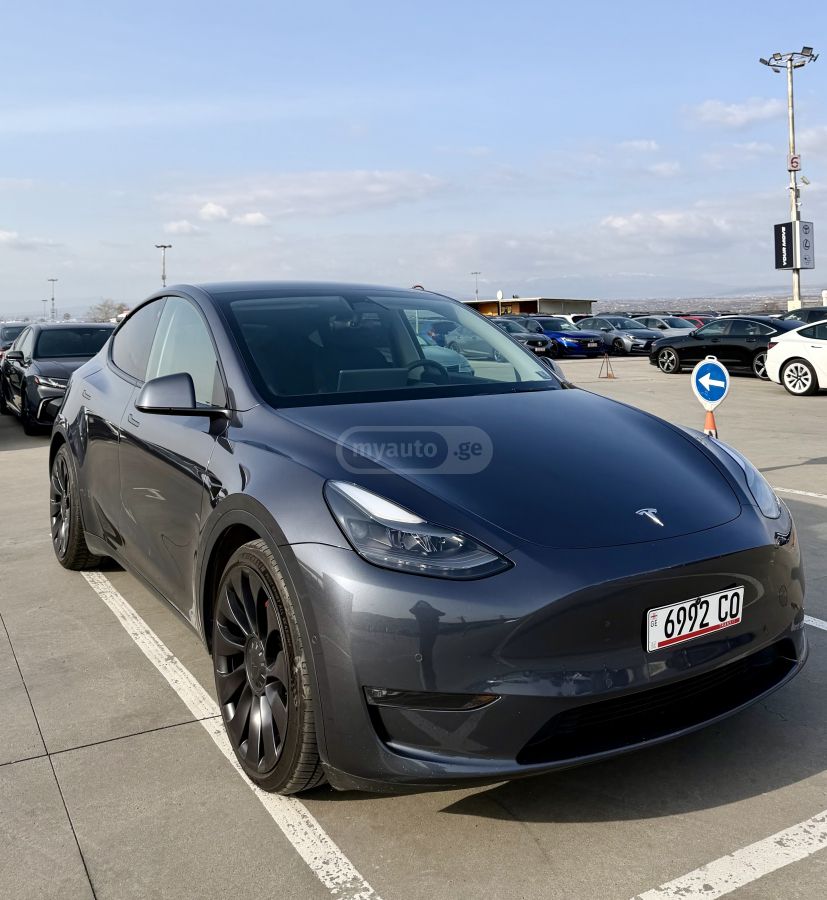 Tesla PERFORMANCE — миниатюра 2