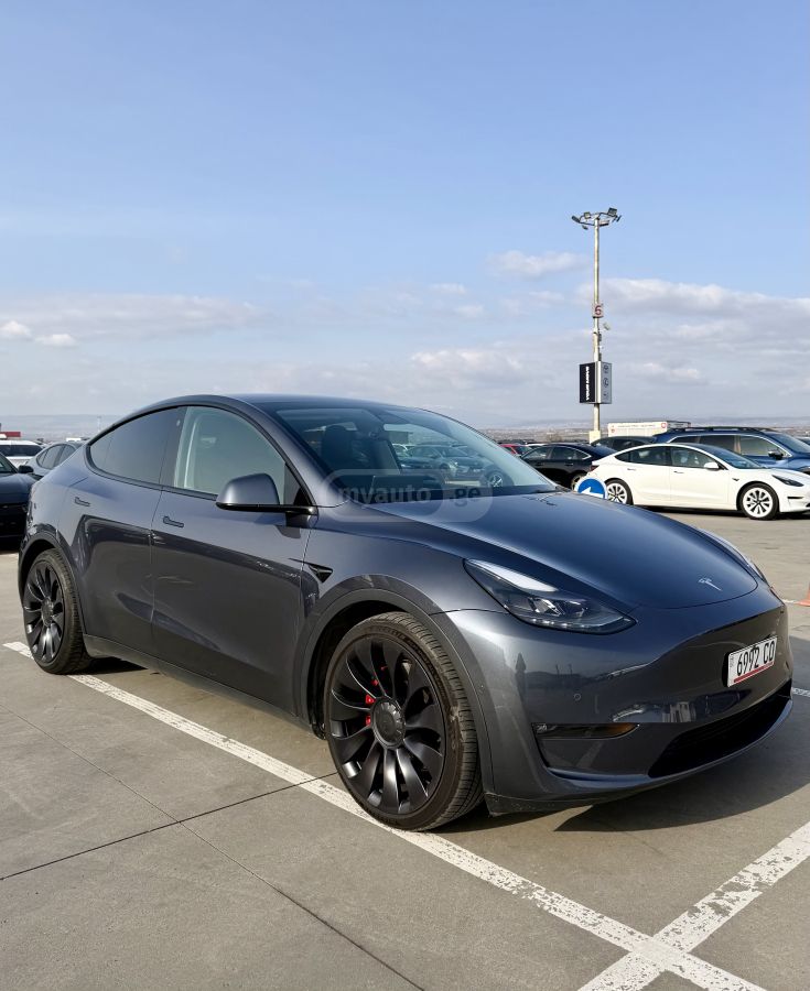 Tesla PERFORMANCE — миниатюра 4
