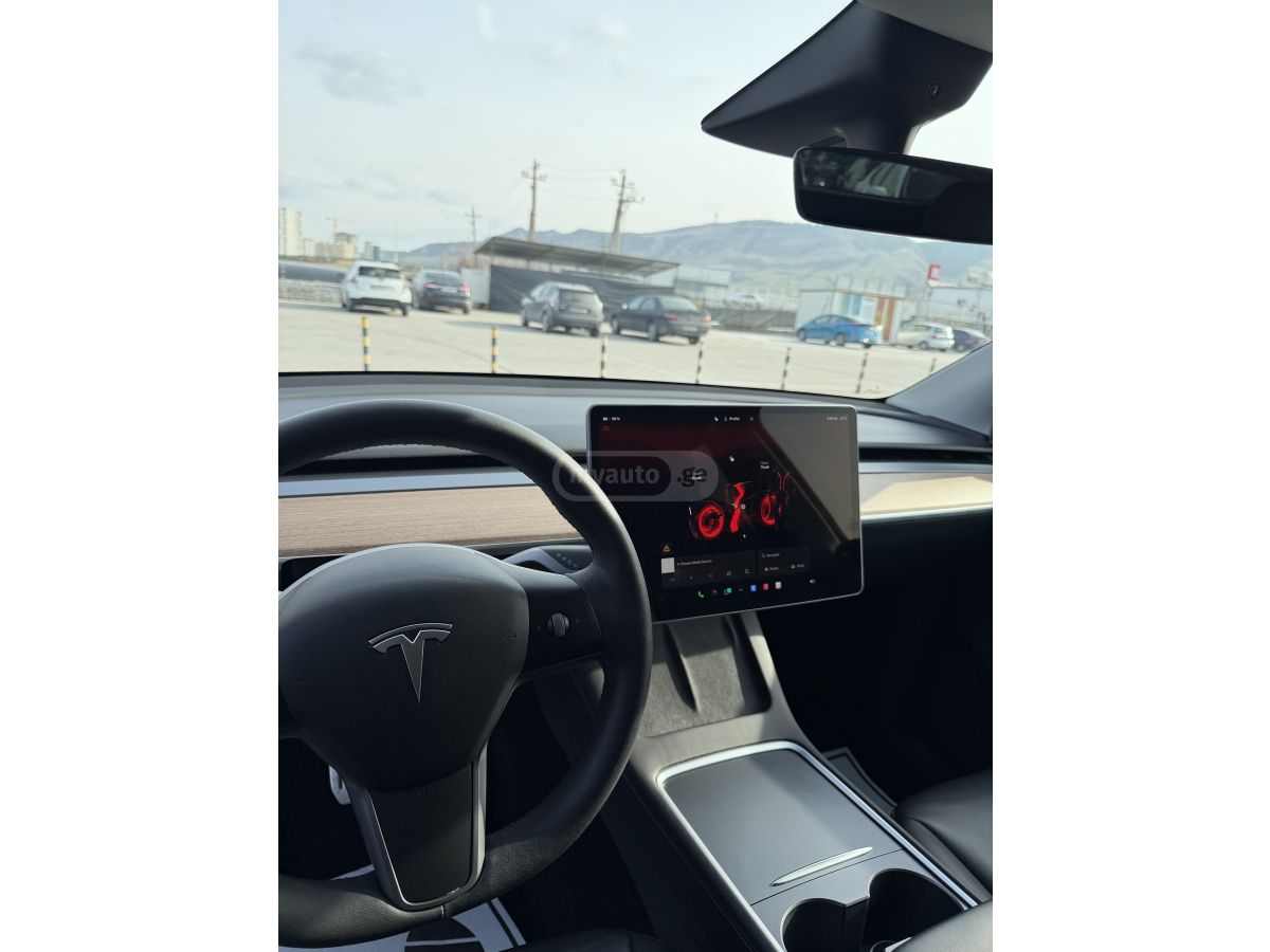 Tesla PERFORMANCE — миниатюра 6