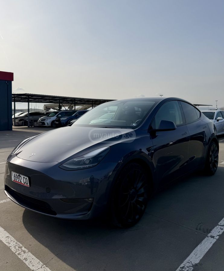 Tesla PERFORMANCE — миниатюра 8