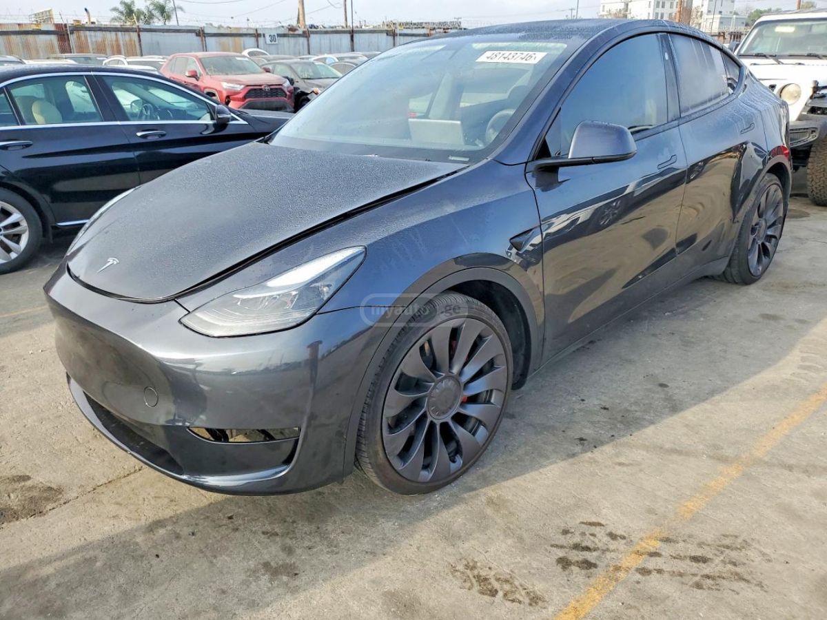Tesla Model Y - фото 1