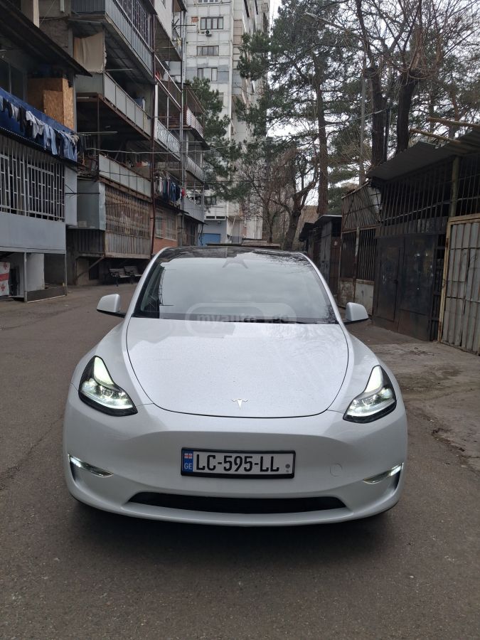 Tesla Model Y - фото 1