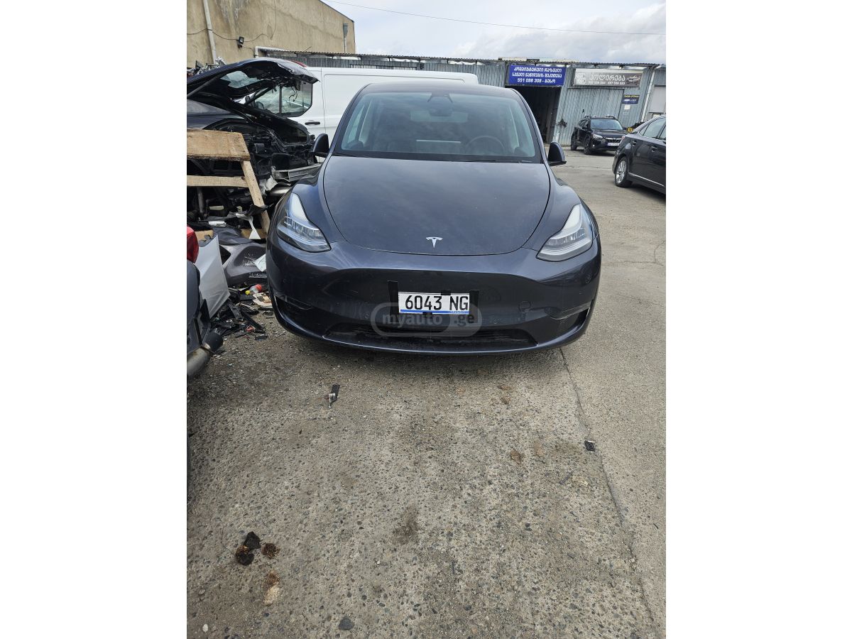 Tesla Model Y - фото 1
