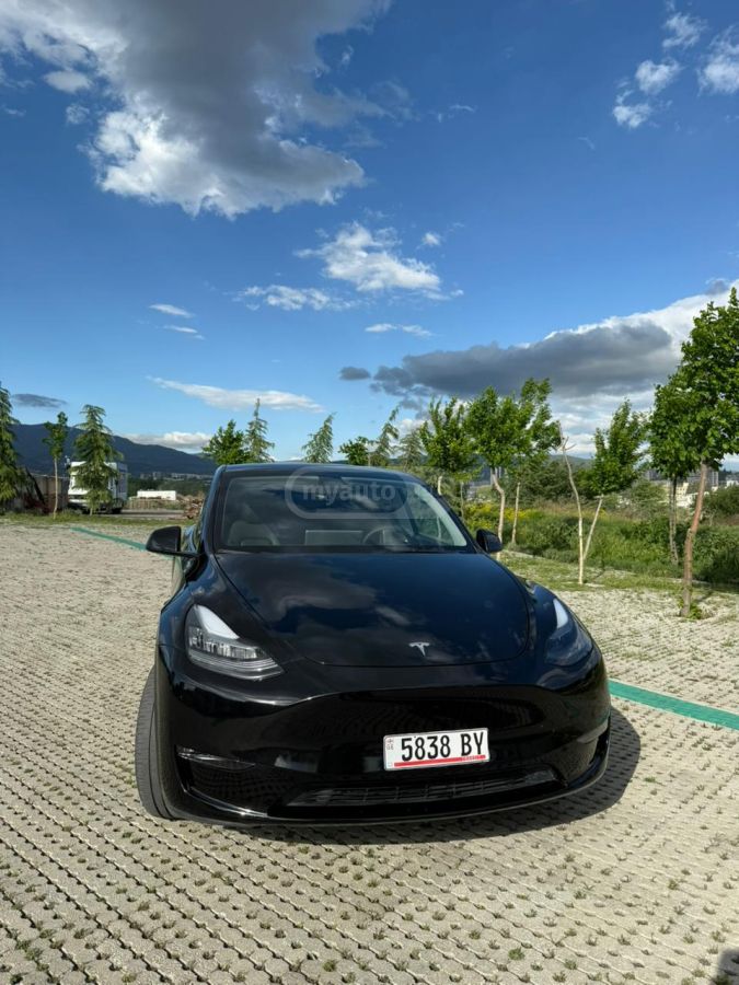 Tesla  — миниатюра 1