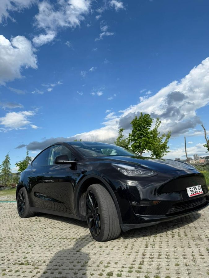 Tesla  — миниатюра 11