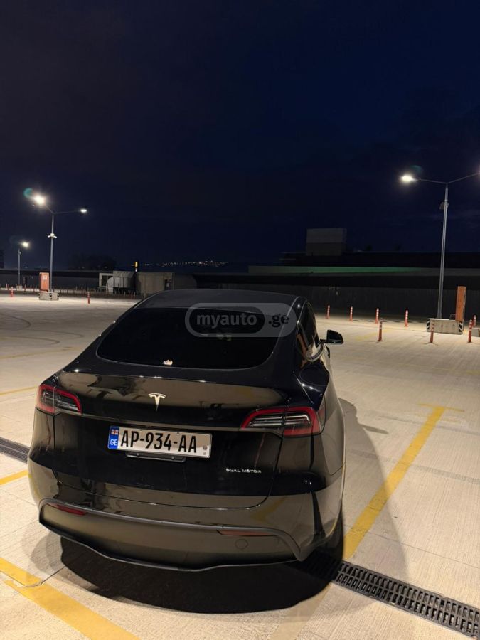 Tesla  — миниатюра 3