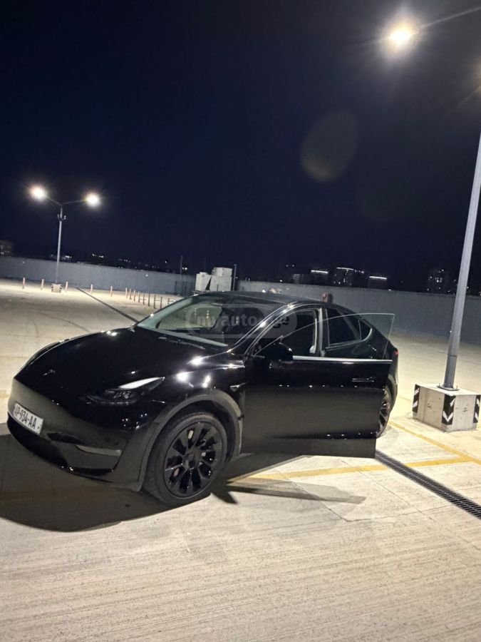Tesla  — миниатюра 7