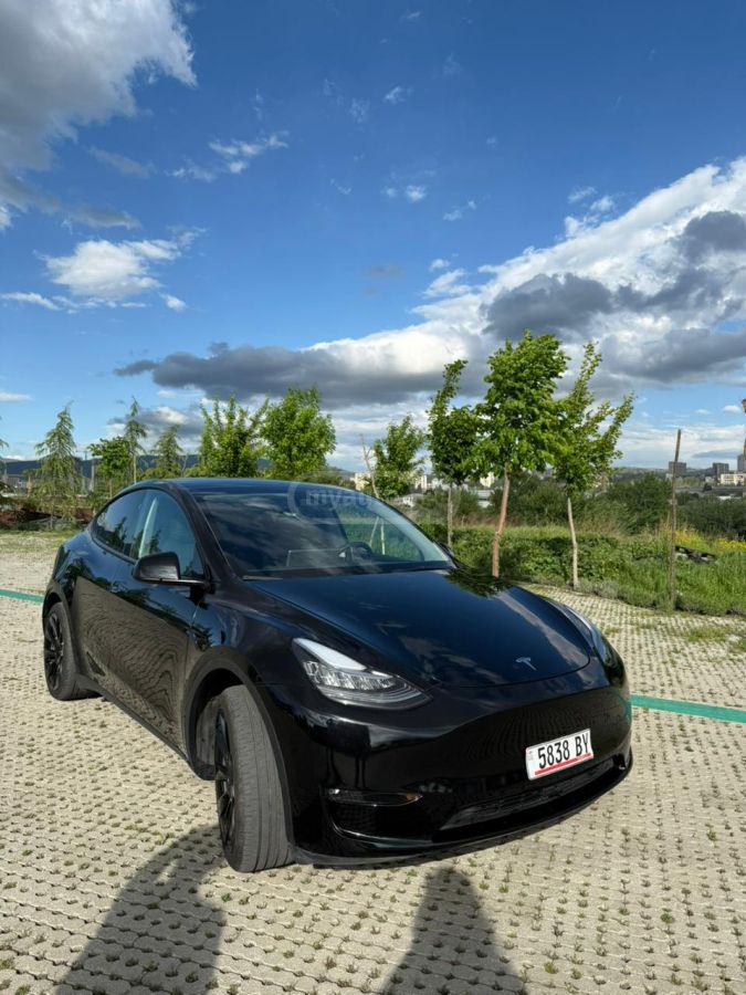 Tesla  — миниатюра 8