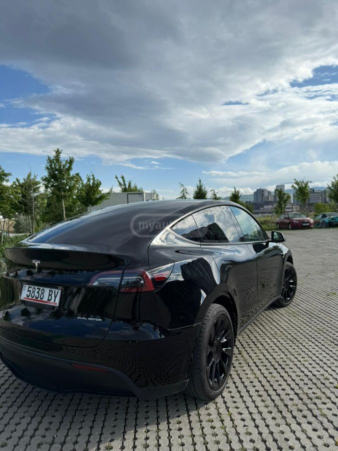 Tesla  — миниатюра 9