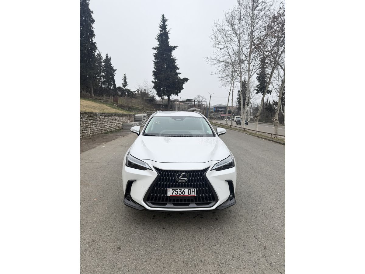 Lexus NX 350 - фото 1