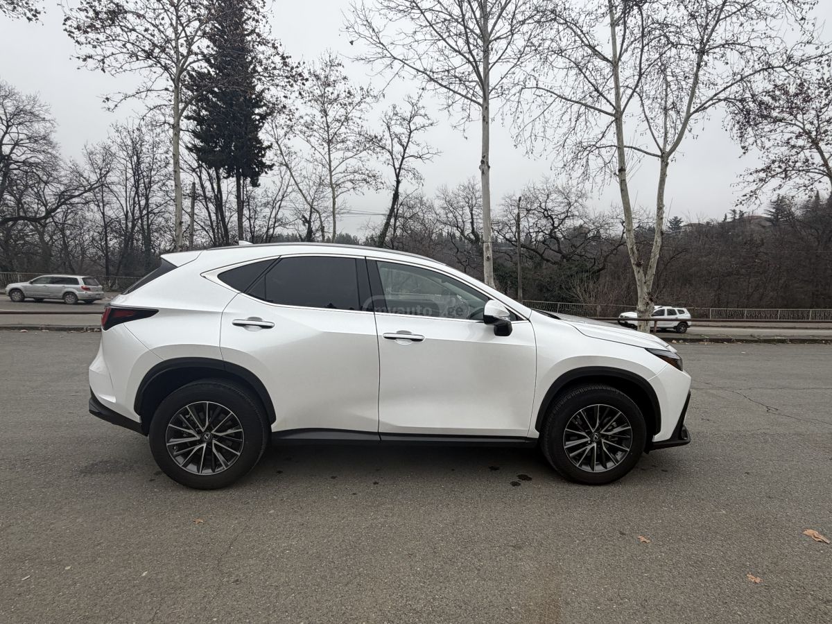 Lexus NX 350 - фото 10
