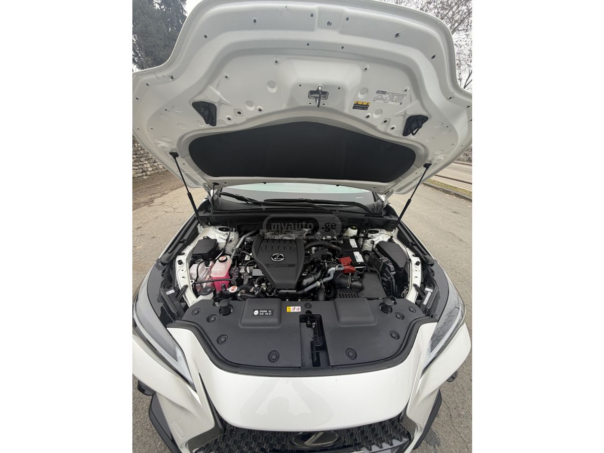 Lexus NX 350 - фото 13